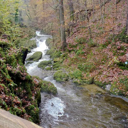 Hollybrook *