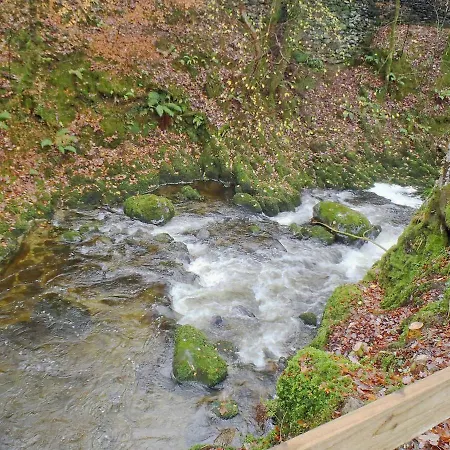 Hollybrook